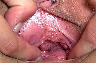 tags: pussy, cunt, twat, vagina, muff, closeups, close ups, close up, closeup, up close, hd, pussy spreading, spreading, brunette, pussy stretching, great details, zoom, cervix, speculum, pussy spreader